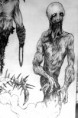 /album/monsters/goulstone-monster004-jpg/